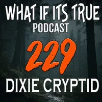 What if it's True Podcast artwork