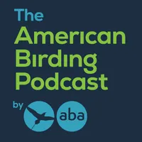 American Birding Podcast artwork