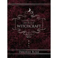 Desperate House Witches artwork