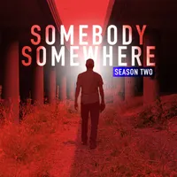 Somebody Somewhere artwork