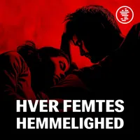 SN Undersøger artwork