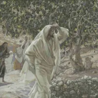 Catholic Daily Reflections artwork