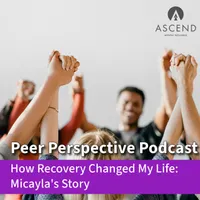 Peer Perspective artwork