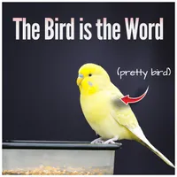 TheThinkingAtheist artwork