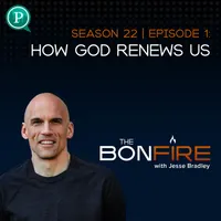 The Bonfire with Jesse Bradley artwork