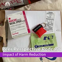 Peer Perspective artwork