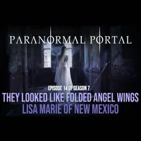 Paranormal Portal artwork