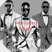 The Mike Starks Show artwork