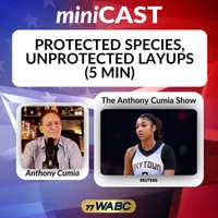 77 WABC MiniCasts artwork