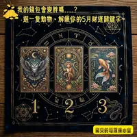 Diane's Tarot Diary: 我的塔羅日記 artwork