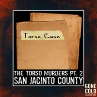 Gone Cold - Texas True Crime artwork