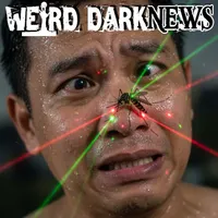 Weird Darkness: Paranormal & True Crime Stories artwork