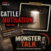 MonsterTalk artwork