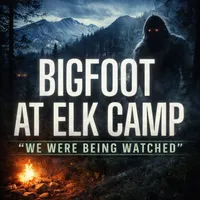 SASQUATCH THEORY artwork
