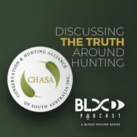 Blood Origins artwork