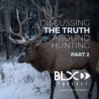 Blood Origins artwork