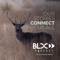 Blood Origins artwork