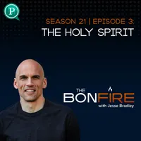 The Bonfire with Jesse Bradley artwork