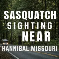 SASQUATCH THEORY artwork