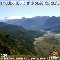 Bigfoot Society artwork
