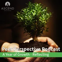 Peer Perspective artwork