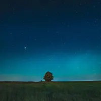 Sleep Sounds by Tmsoft artwork