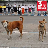 3 Things artwork