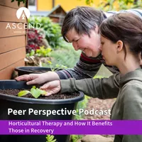 Peer Perspective artwork