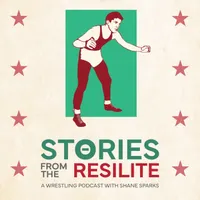 Stories From The Resilite artwork