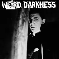 Weird Darkness: Paranormal & True Crime Stories artwork