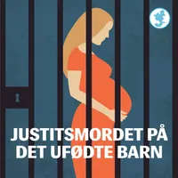 SN Undersøger artwork