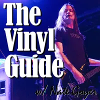 The Vinyl Guide artwork