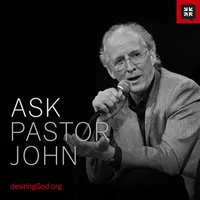 Pastor John Piper's answers artwork