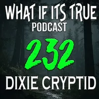 What if it's True Podcast artwork