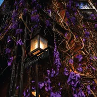 The Grey Rooms artwork
