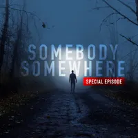Somebody Somewhere artwork