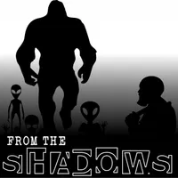 From The Shadows artwork
