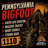 Bigfoot Society artwork