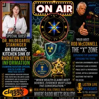 The 'X' Zone Radio/TV Show artwork