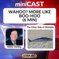 77 WABC MiniCasts artwork