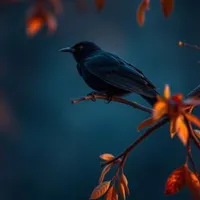 Sleep Sounds by Tmsoft artwork