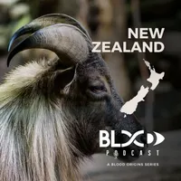 Blood Origins artwork