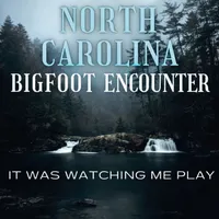 SASQUATCH THEORY artwork
