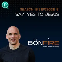 The Bonfire with Jesse Bradley artwork