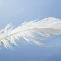 La voce del poeta artwork
