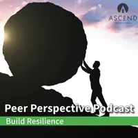 Peer Perspective artwork