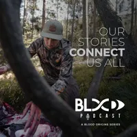 Blood Origins artwork