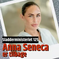 Sladderministeriet artwork