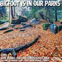 Bigfoot Society artwork