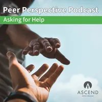 Peer Perspective artwork